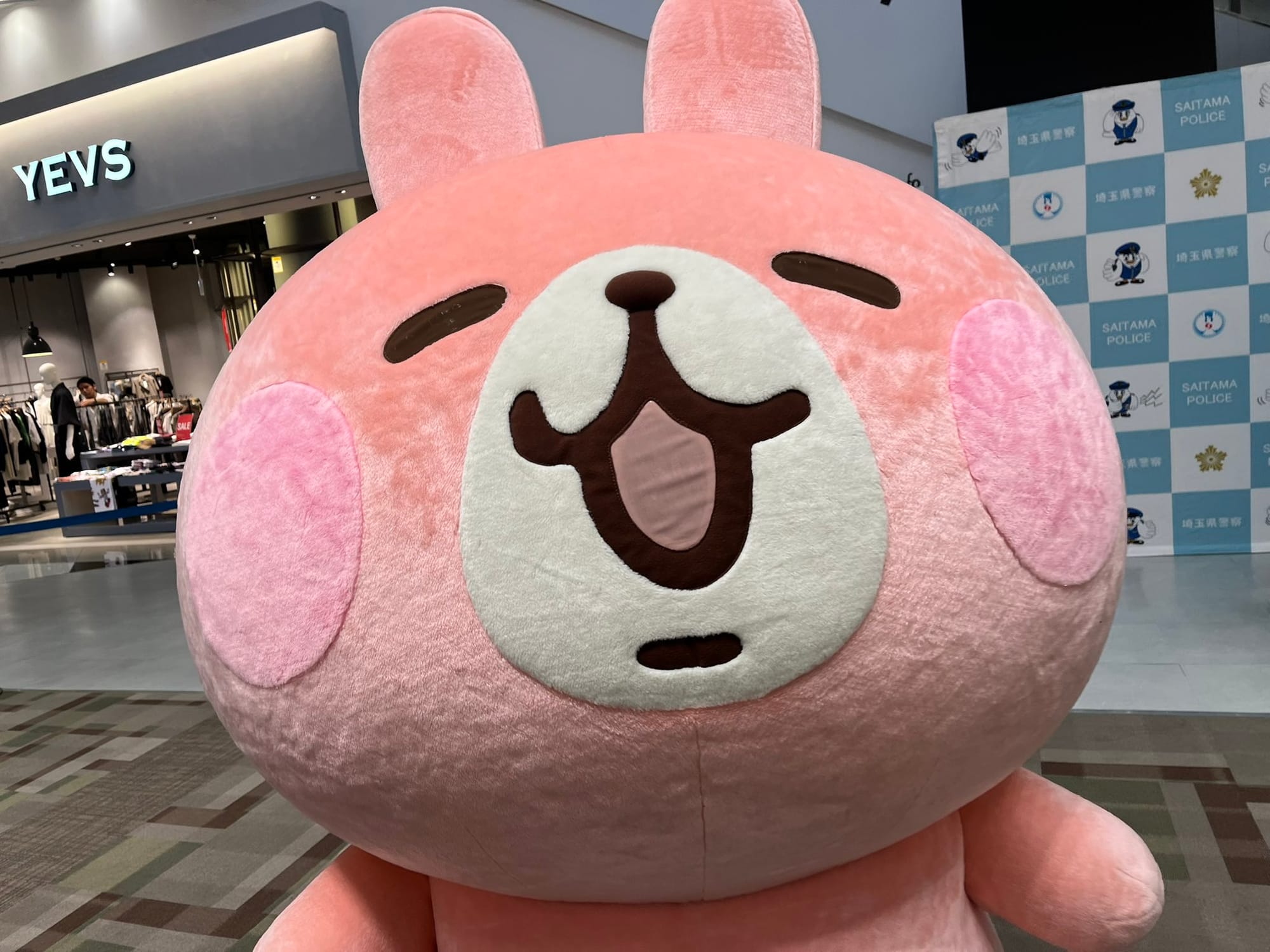 usagi so q